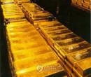 “IMF 추가 금 매각으로 금값 하락할 것”-블룸버그
